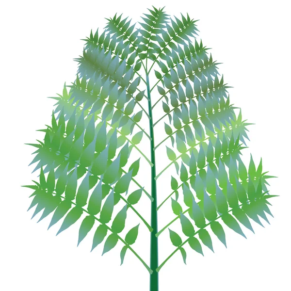 Zielony krzew przed biały — Wektor stockowy