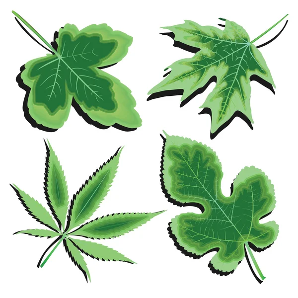 Collection de feuilles vertes — Image vectorielle