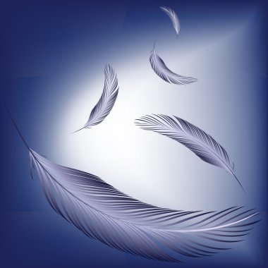 Feathers in the wind clipart