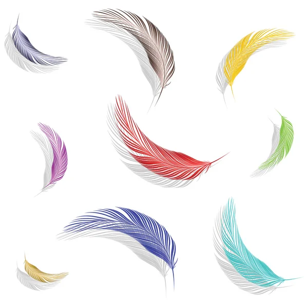 Коллекция цветных перьев — стоковый вектор