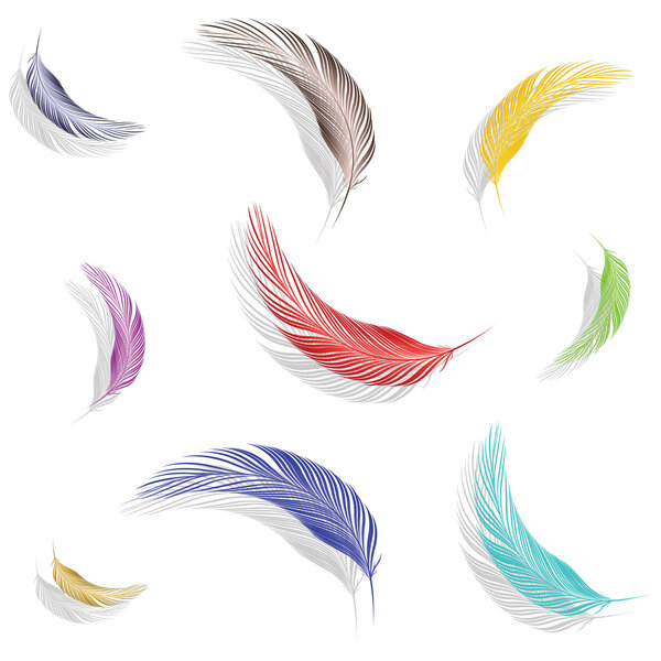 Colored feathers collection