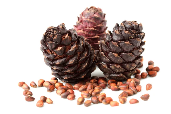 stock image Pine cone