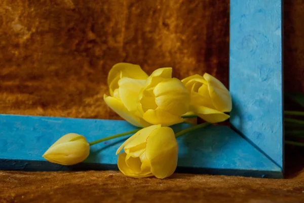 Los tulipanes en el marco — Foto de Stock