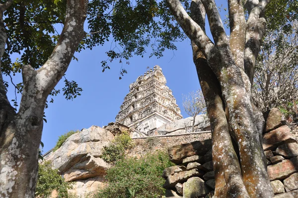 Templo do Pântano de Narasimha — Fotografia de Stock