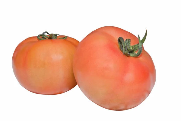 Ізольована червоні помідори — стокове фото