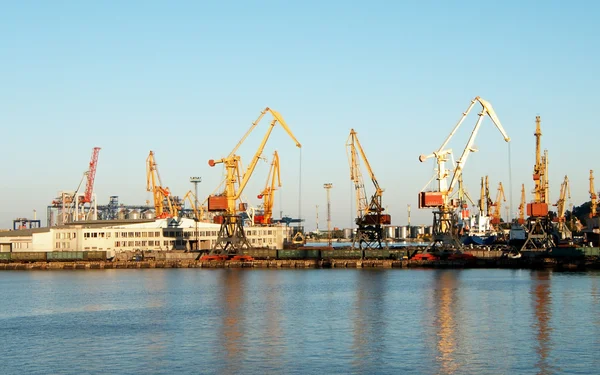 Морской порт с кранами — стоковое фото