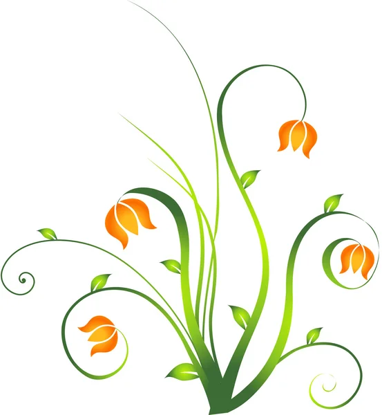 Floral design element — Stock Vector