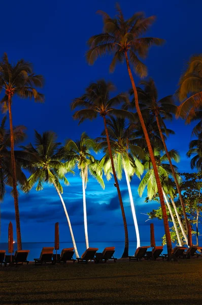 Strand bei Sonnenuntergang mit beleuchteten Kokospalmen, Insel Koh Chang — Stockfoto