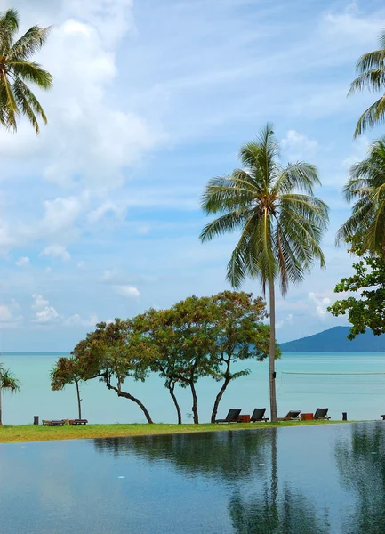 Palmeira na praia e piscina, Phuket, Tailândia Fotografias De Stock Royalty-Free