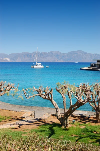 Iate de luxo, mar Egeu turquesa e árvores cortadas, Creta, Grécia — Fotografia de Stock
