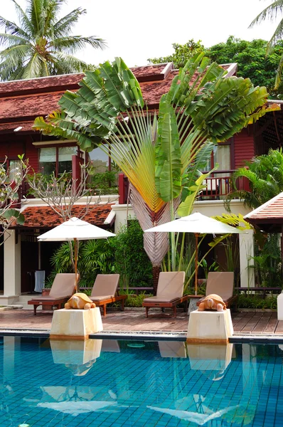 Schwimmbad in moderner Luxusvilla, Insel Samui, Thailand — Stockfoto