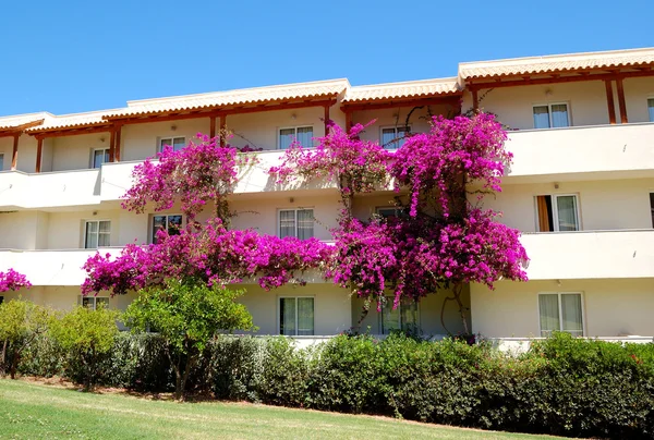 Hotelgebäude dekoriert mit schönen Blumen, Beton, Griechenland — Stockfoto