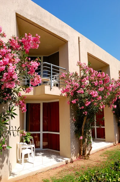 Hotellbyggnaden dekorerad med vackra blommor, Kreta, Grekland — Stockfoto