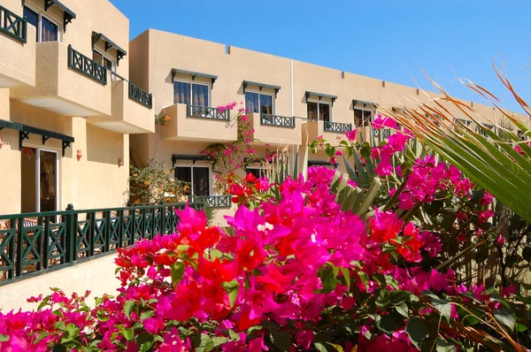 Rekreációs területe népszerű hotel, sharm el sheikh, Egyiptom — Stock Fotó