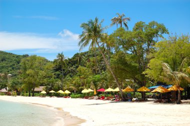 phi phi Island, Tayland Beach