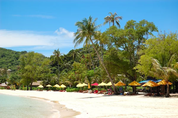 Plaża Wyspie Phi Phi Tajlandia — Zdjęcie stockowe