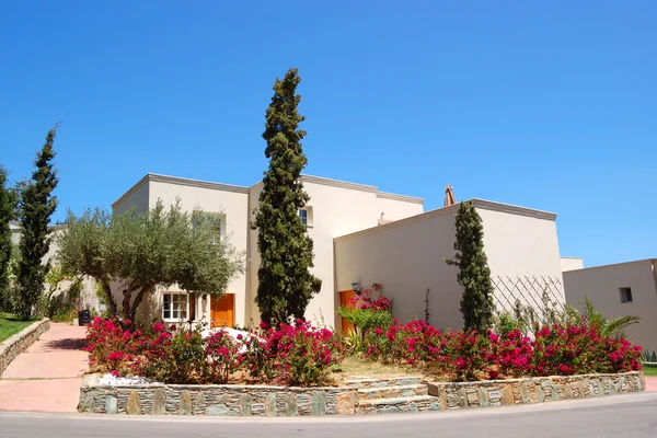 Lüks Villa Süslü Çiçekler Crete Yunanistan — Stok fotoğraf