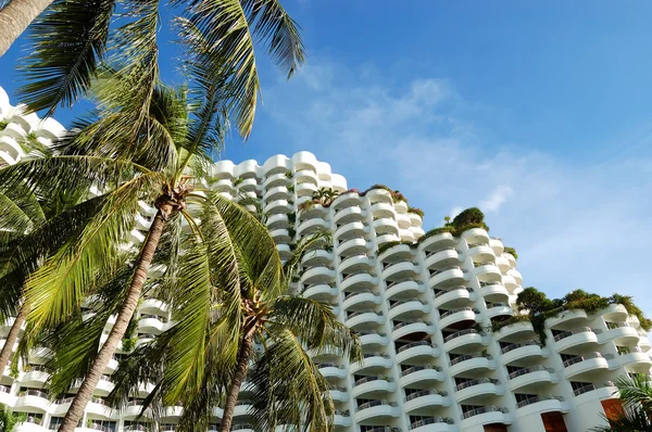 Palmbomen op de luxehotel, pattaya, thailand — Stockfoto