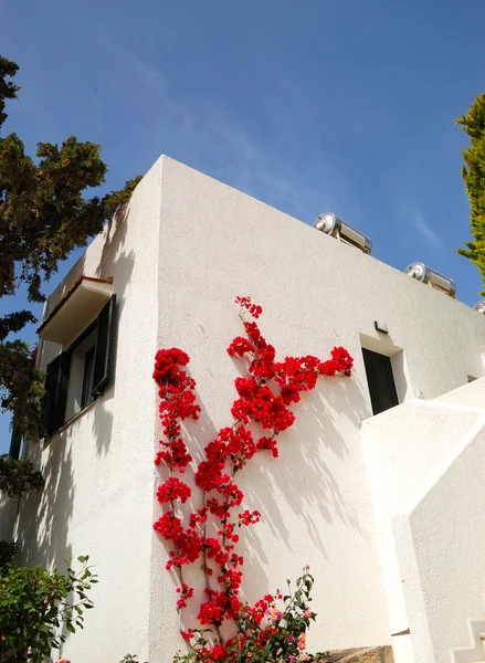 Das Haus geschmückt mit Blumen, Beton, Griechenland — Stockfoto