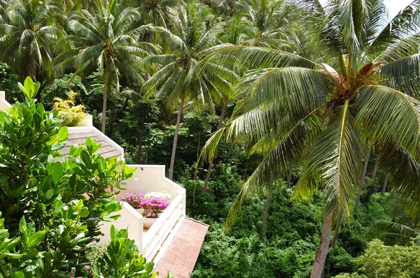 Balkon z kwiatami, luksusowy hotel z widokiem na palmy kokosowe — Zdjęcie stockowe