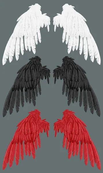 Wings white, black, red A — Stock Vector