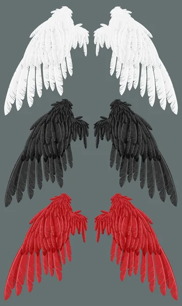 白色、 黑色、 红色的翅膀 — 图库矢量图片#