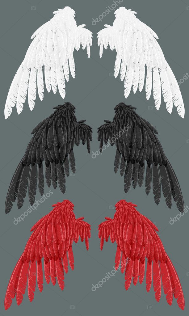 Wings white, black, red A
