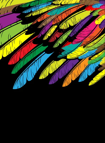Multi-colored feathers A — Stock Vector