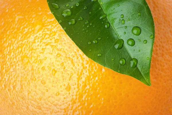 Naranja y hoja — Foto de Stock