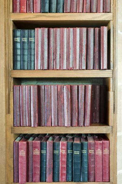 Könyv polc és könyvek — Stock Fotó