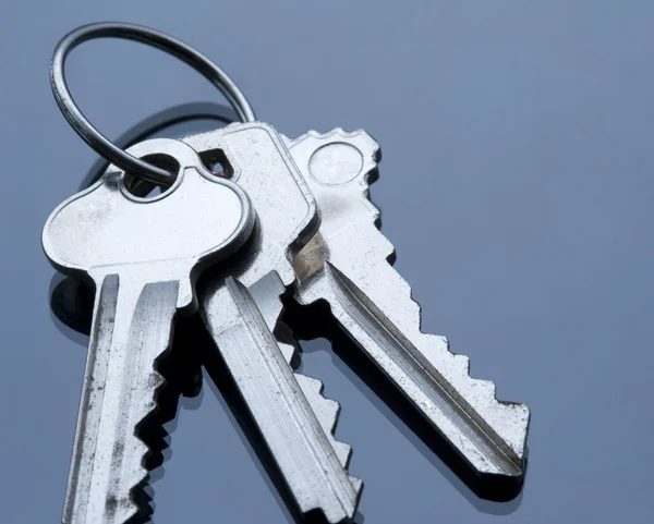 stock image Key ring and keys