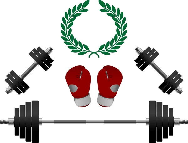 Gewichte und Boxerhandschuhe. Zweite Variante — Stockvektor