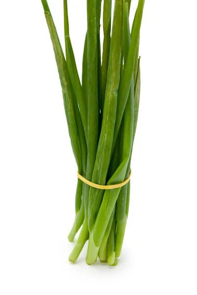 Bando de cebola verde isolada no fundo branco — Fotografia de Stock