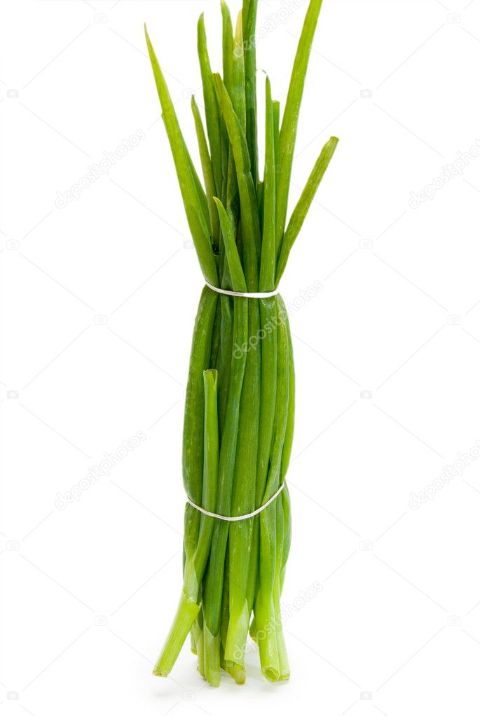Bunch of green onion isolated on the white background
