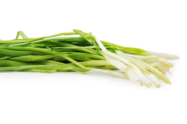 Bund grüner Zwiebeln isoliert auf weißem Hintergrund — Stockfoto