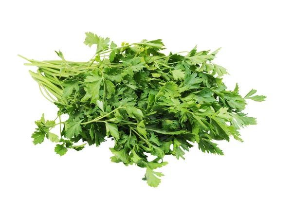 Bunch of parsley isolated on the white background — Stock Photo, Image