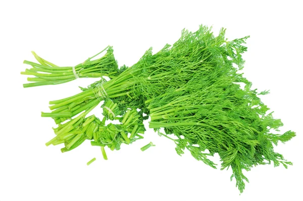 Chopped dill isolated on the white background — Stock Photo, Image
