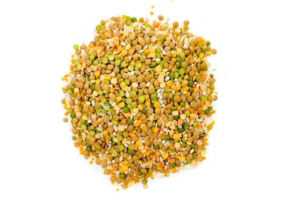 Seeds heap — Stock Photo, Image