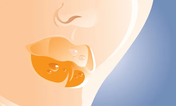 Imagen Vectorial Labios Mujer — Vector de stock