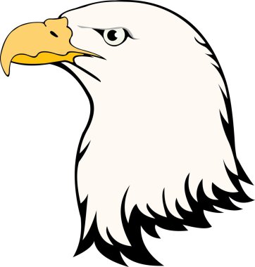 Vector image of eagle head isolated on white clipart