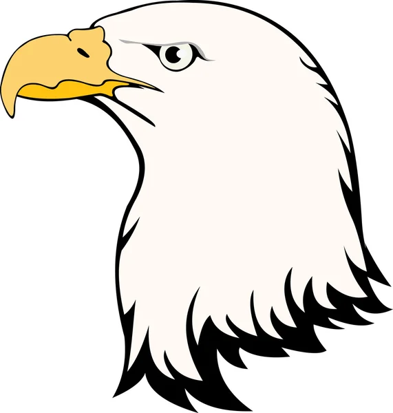Vector Afbeelding Van Eagle Hoofd Geïsoleerd Wit — Stockvector