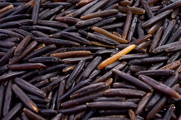 stock image Black wild rice