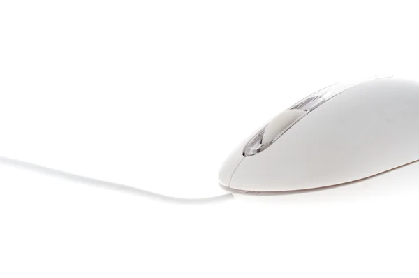 Ergonomische witte muis — Stockfoto