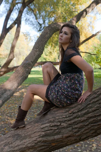 Flickan på en trädstam — Stockfoto