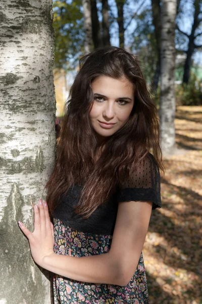 Portrait at a birch — Stock Photo, Image