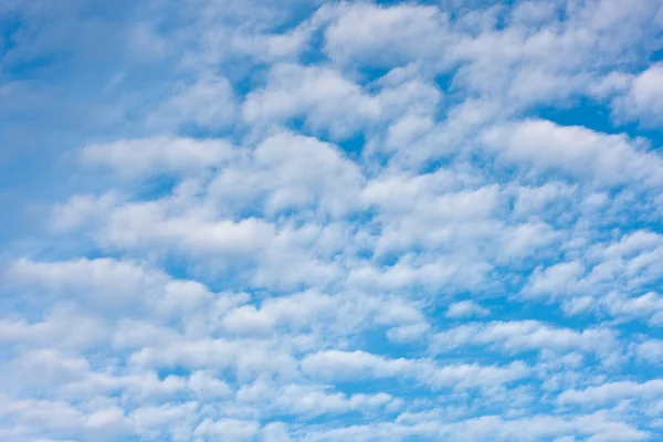 아침의 파란 하늘 — 스톡 사진