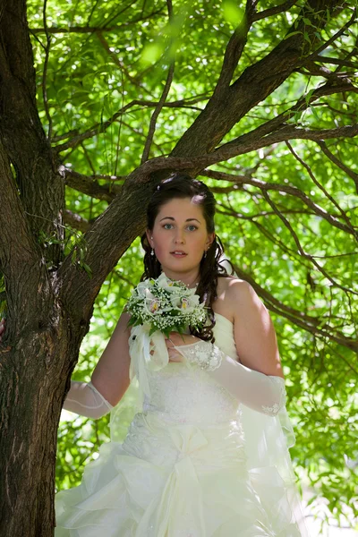 Невеста у дерева — стоковое фото