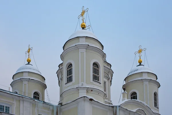 Kupoler av en katedral — Stockfoto