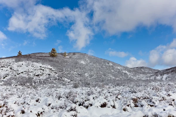 Kış Manzarası Karla Kaplı Tepeleri Güneşli Gökyüzü — Stok fotoğraf