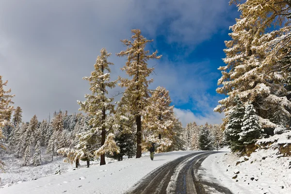 在山脉 阿尔泰 俄罗斯的冬天路一轮 — 图库照片